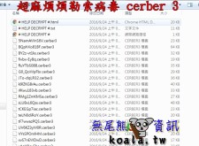 11/21 台中 廖先生 隨身碟中勒索病毒cerber3