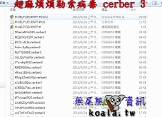 11/21 台中 廖先生 隨身碟中勒索病毒cerber3